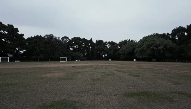 系统集成适用条件分析,如何应对实际问题
