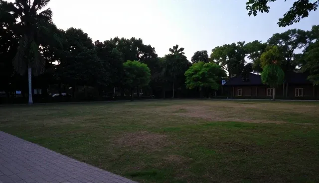 短视频运营中地区选择依据与策略分析